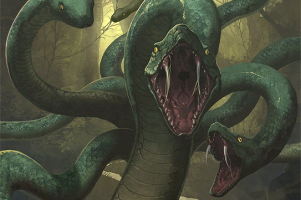Kraken 6at
