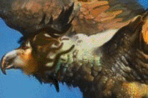 Kraken url