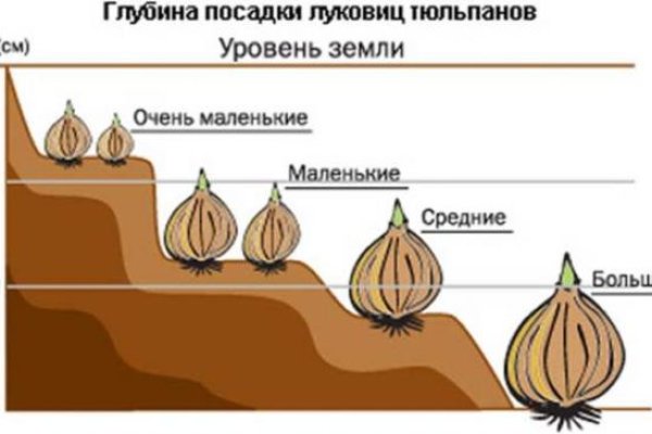 Кракен ссылка настоящая
