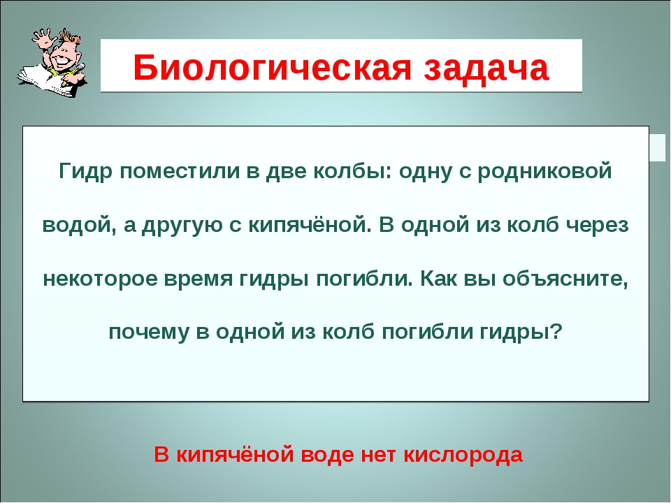 Аккаунты кракен