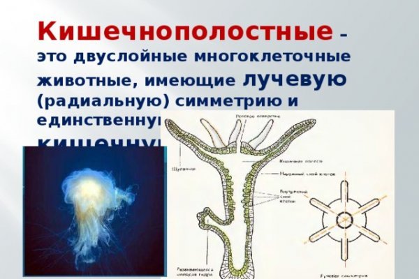 Актуальная ссылка на кракен kraken